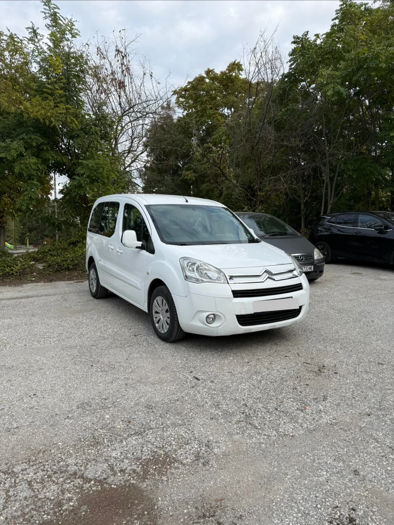 Citroen Berlingo 1.6 HDI | Mobile.bg   1