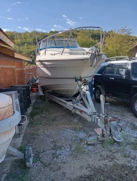 ������� ���� Regal 2765 | Mobile.bg � ����� ������ 6