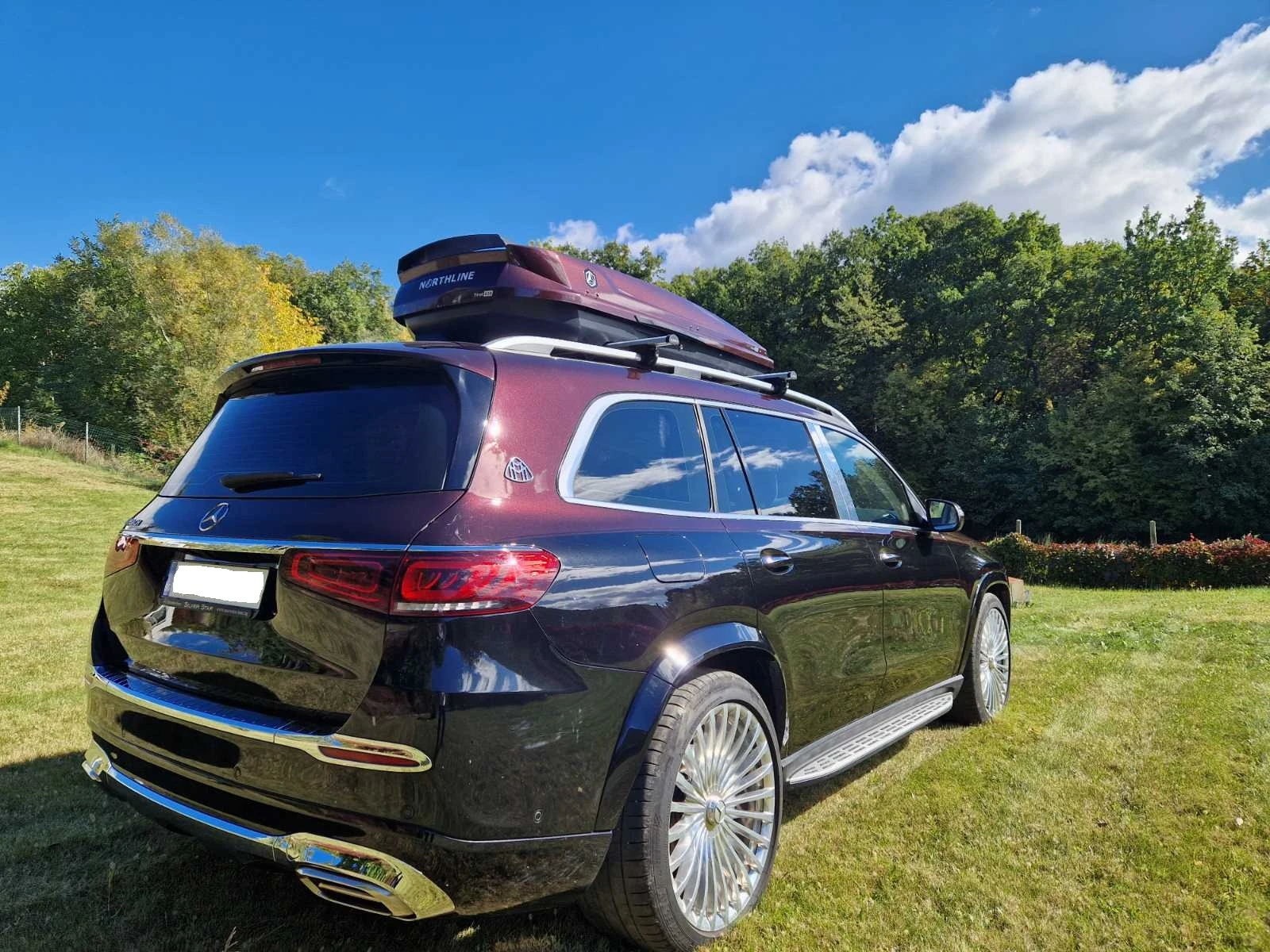 Mercedes-Benz GLS Maybach - изображение 6