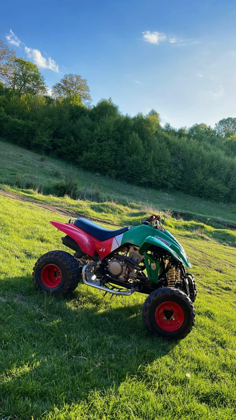 Dinli Centhor 450, снимка 3 - Мотоциклети и мототехника - 52697399