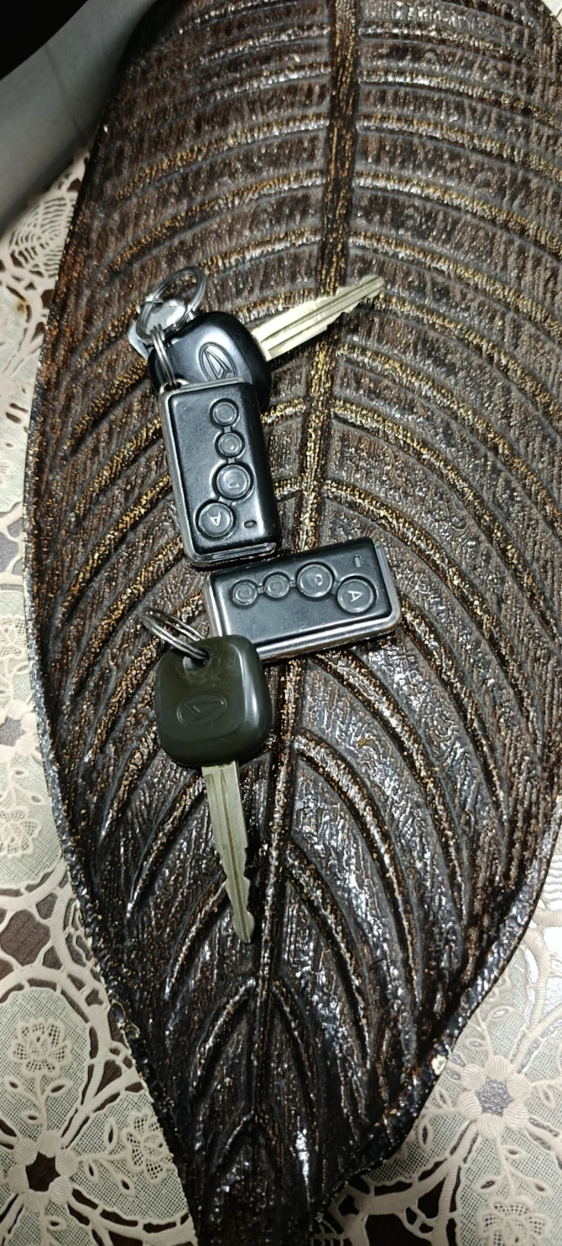 Daihatsu Terios, снимка 1