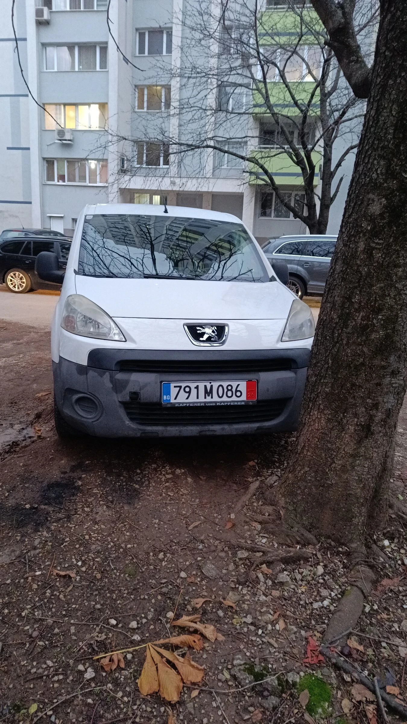 Peugeot Partner 1.6 HDI, снимка 1