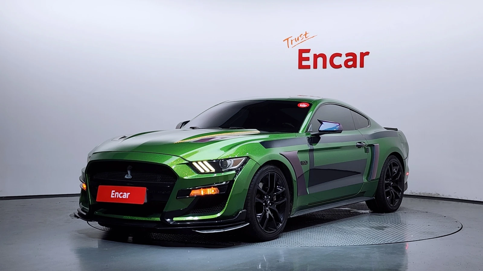 Ford Mustang GT 5.0