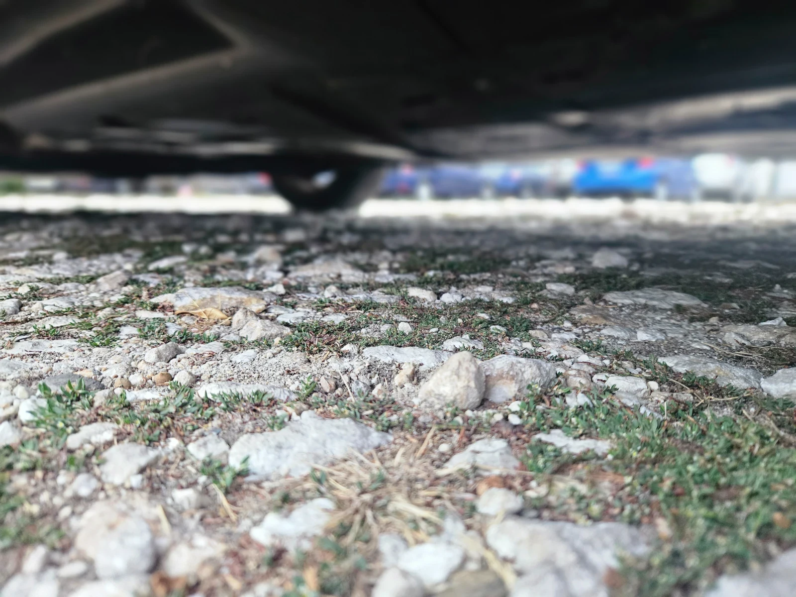 Honda Jazz 1.4, снимка 15 - Автомобили и джипове - 56273752