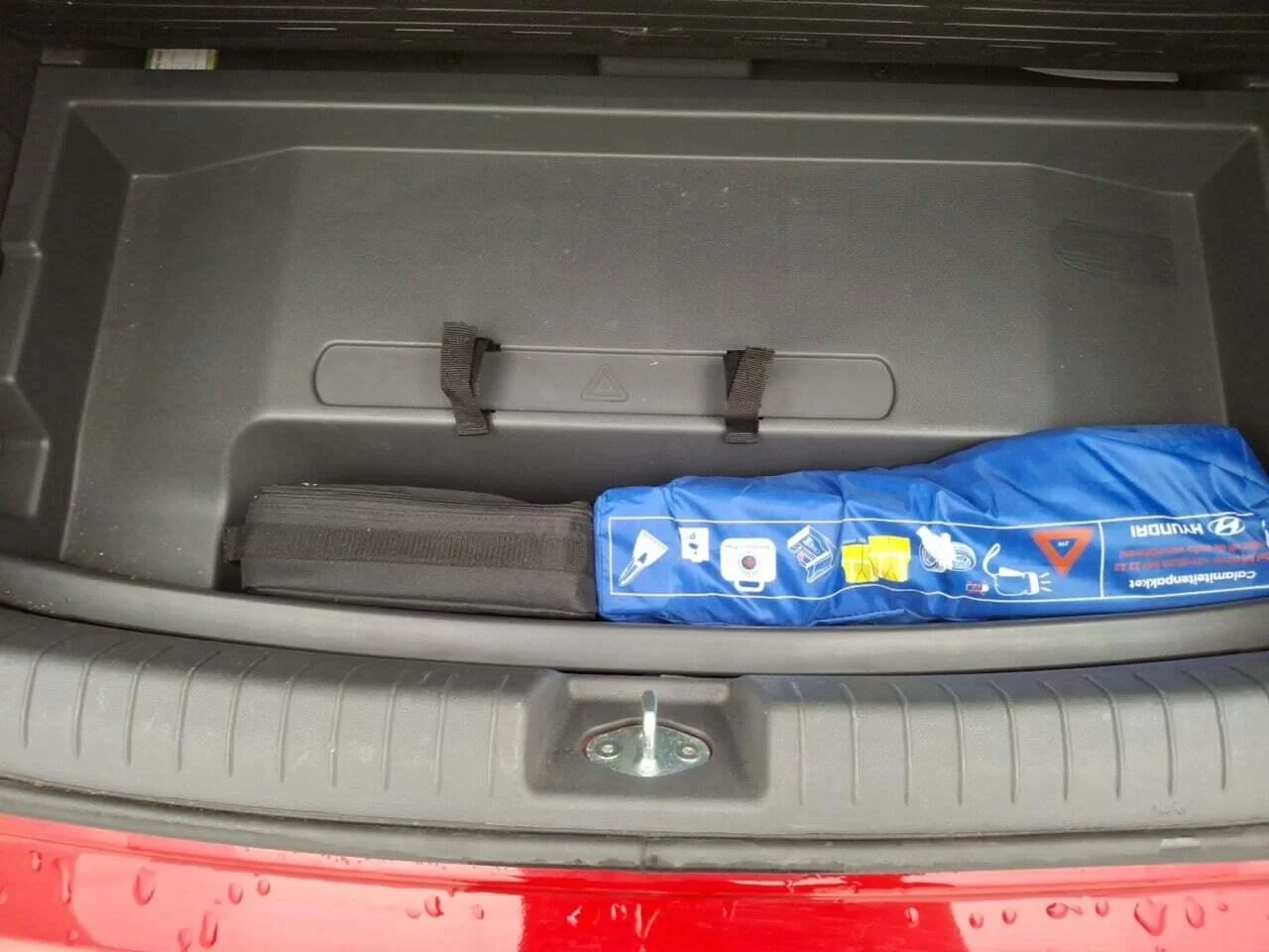 Hyundai Ioniq Hyundai Ioniq EV 38 kWh  | Mobile.bg � ����������� 5