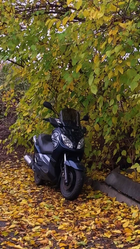 Yamaha X-max, снимка 3