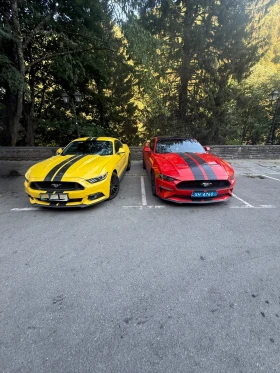 Ford Mustang Ford Mustang 2.3 , снимка 15