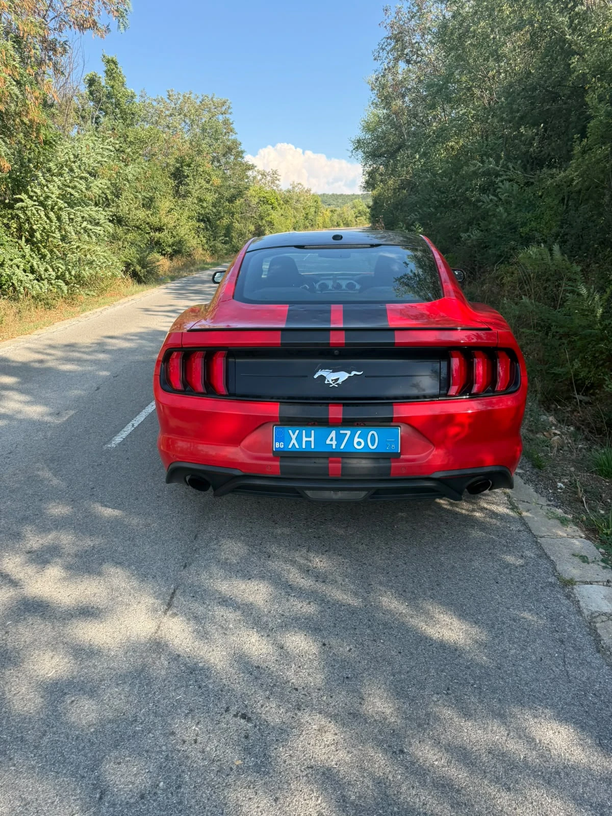 Ford Mustang Ford Mustang 2.3 , снимка 6 - Автомобили и джипове - 55805580