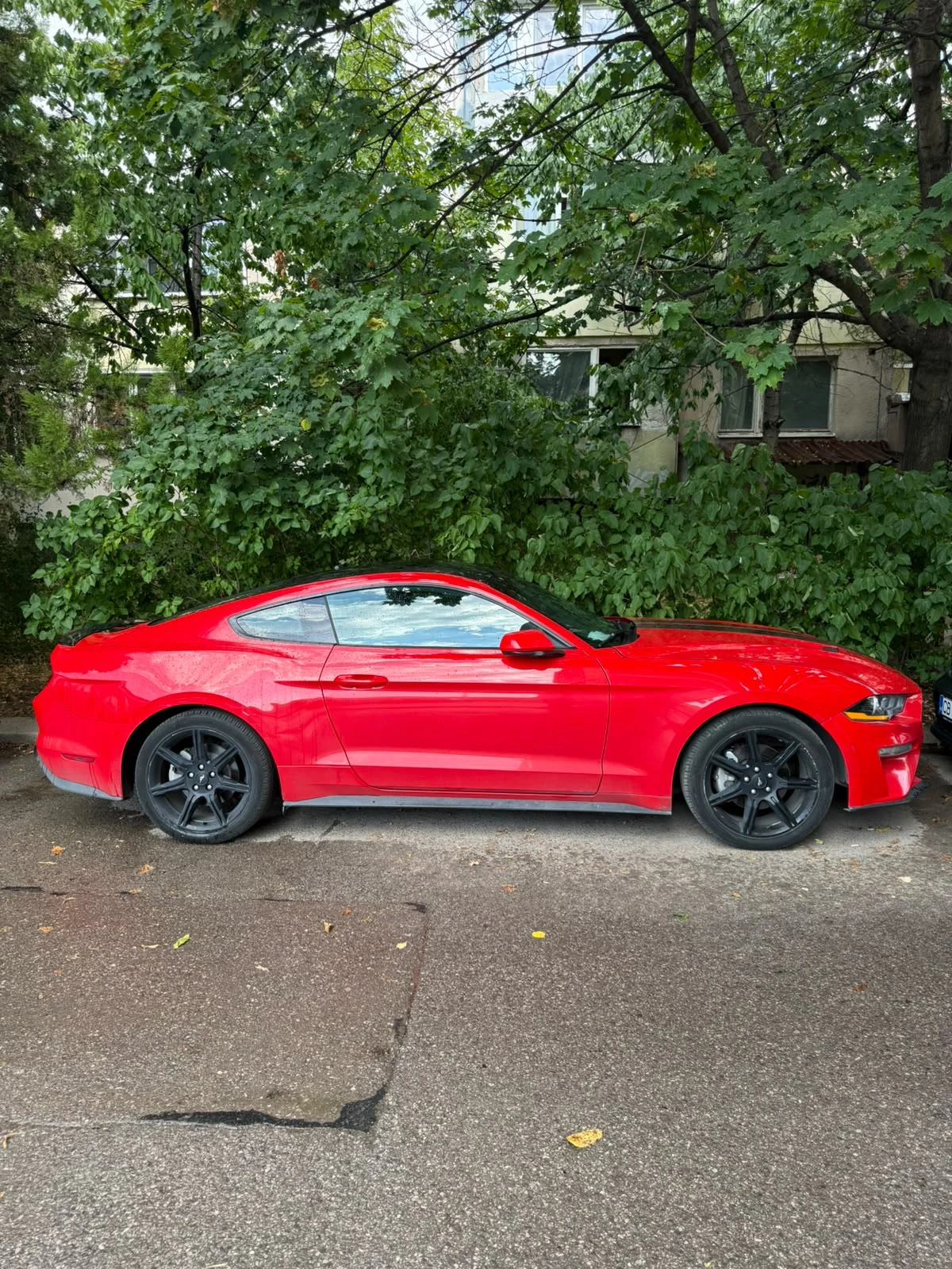 Ford Mustang Ford Mustang 2.3 , снимка 10 - Автомобили и джипове - 55805580