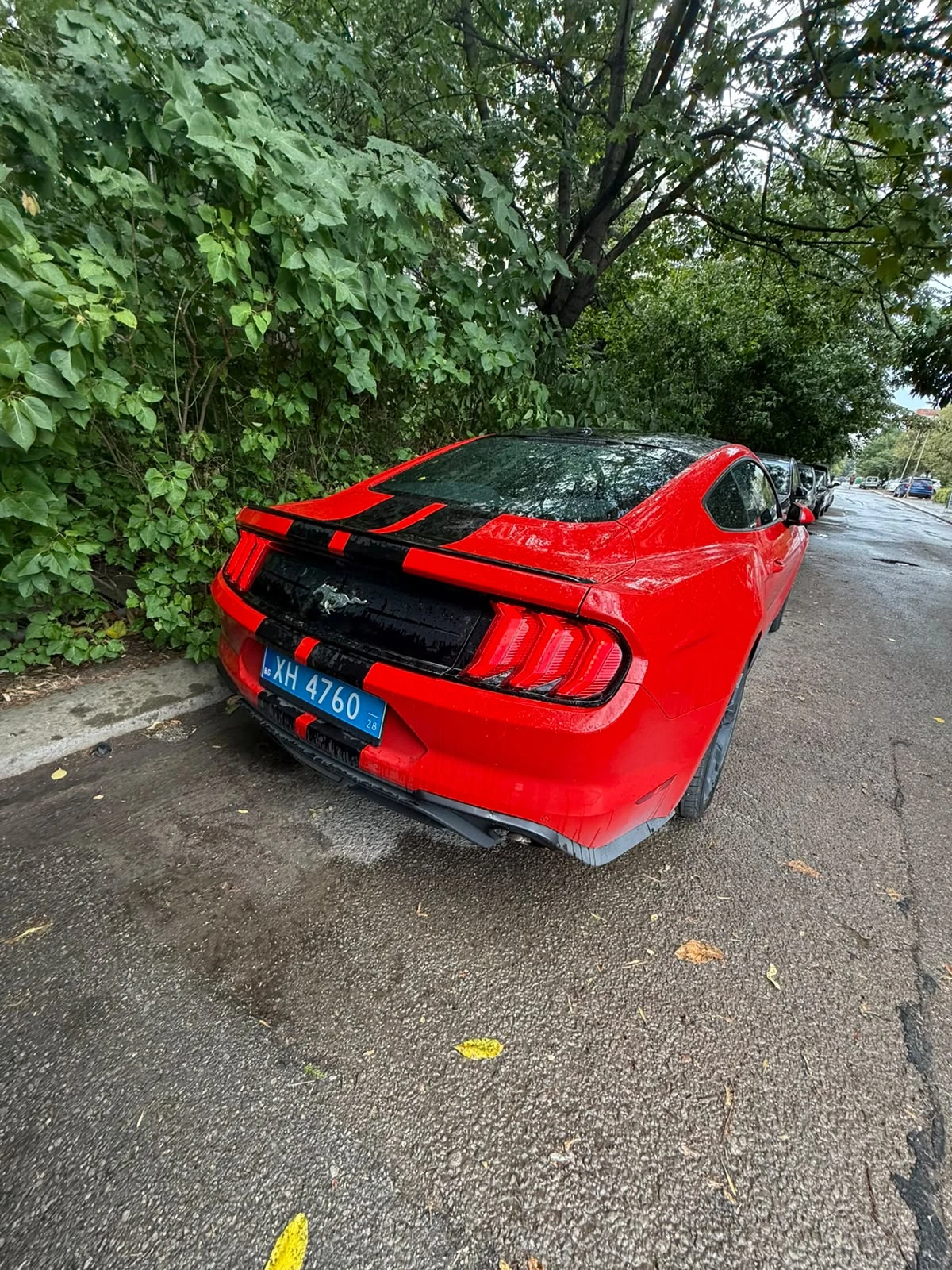 Ford Mustang Ford Mustang 2.3 , снимка 7 - Автомобили и джипове - 55805580