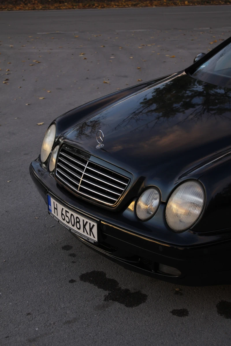 Mercedes-Benz CLK 230 Kompressor, снимка 6 - Автомобили и джипове - 47848108