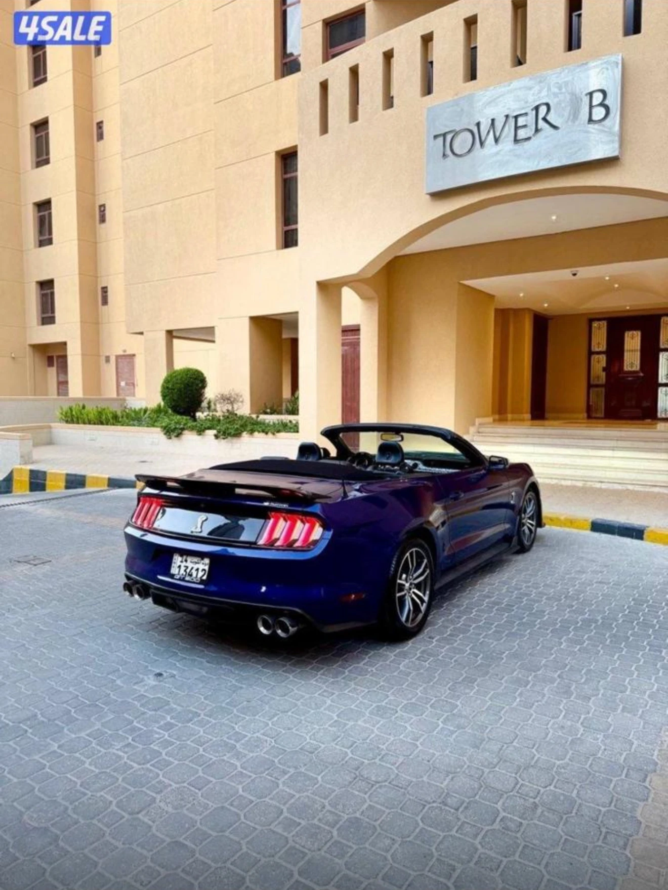 Ford Mustang Shelby - изображение 5