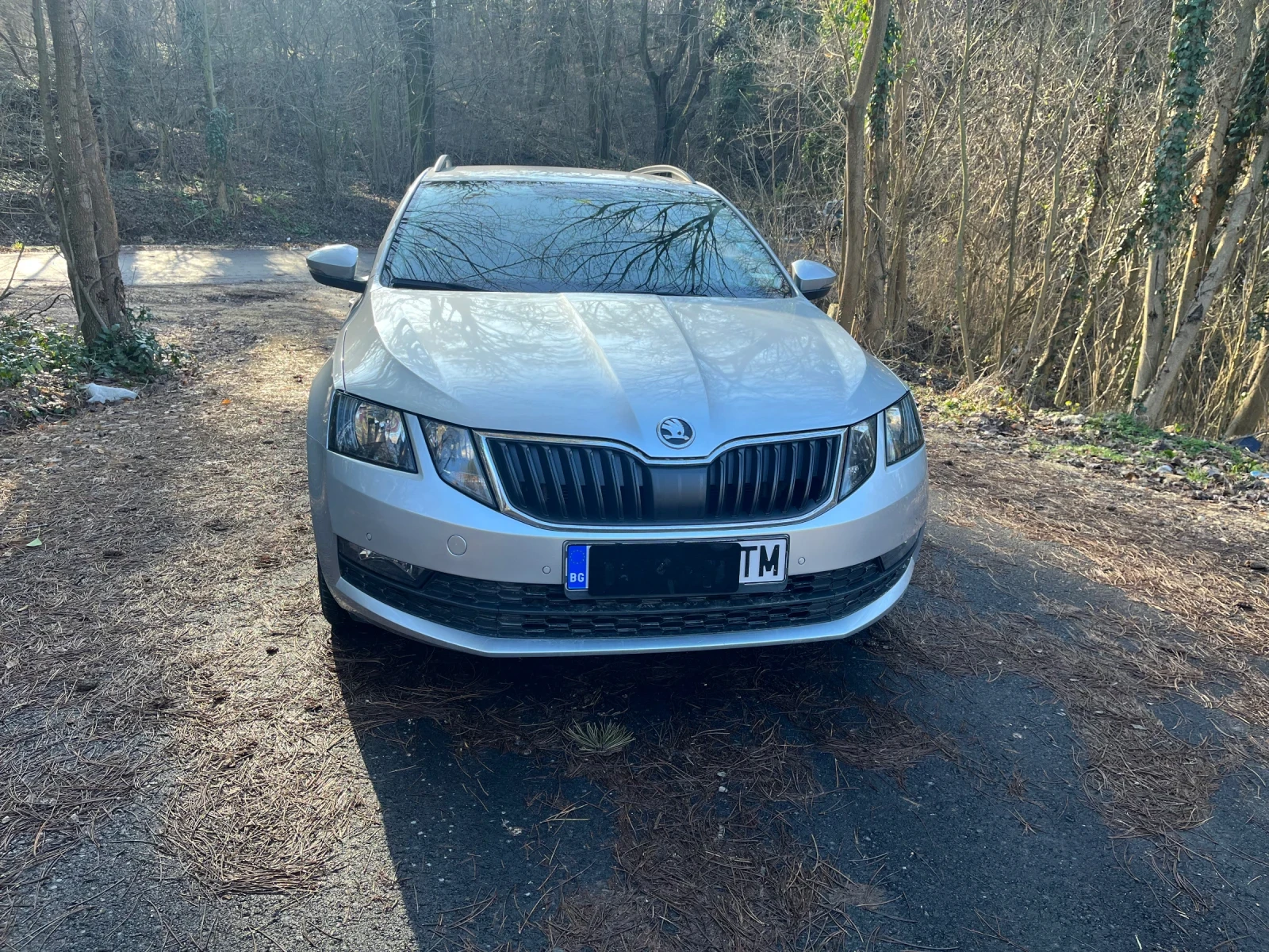 Skoda Octavia 2.0TDI DSG 4x4 | Mobile.bg � ����������� 1