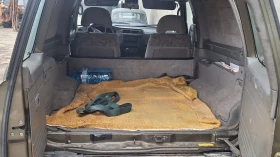 Nissan Patrol GR, снимка 5