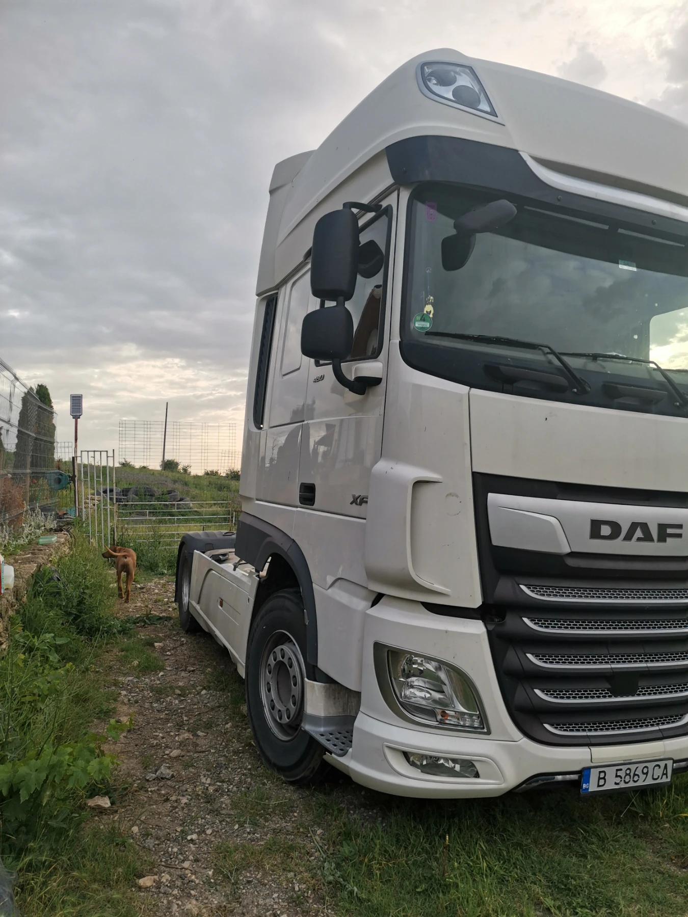 Daf XF  - изображение 4