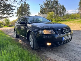Audi A3 1.9 TDI 105 BKC 8P, снимка 4