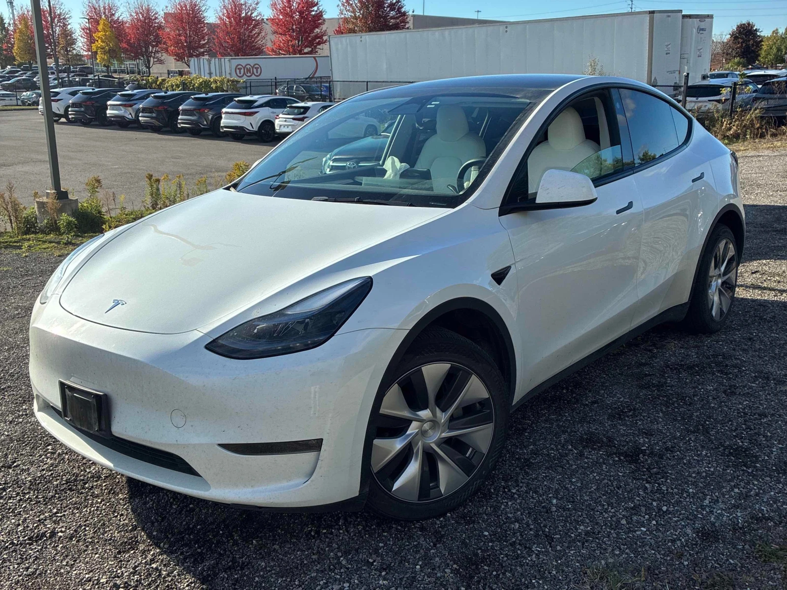 Tesla Model Y Long Range * CARFAX *    | Mobile.bg   1
