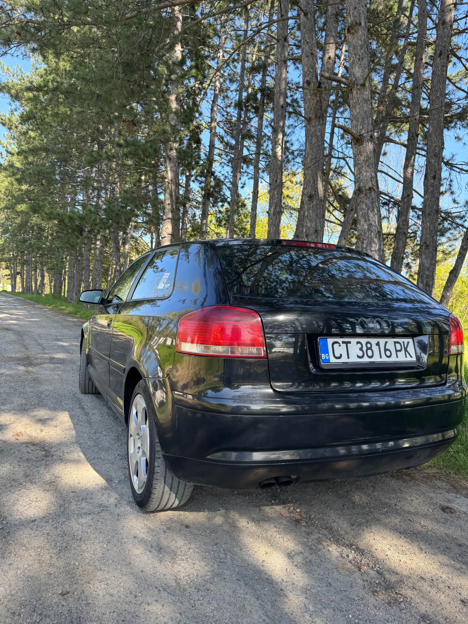 Audi A3 1.9 TDI 105 BKC 8P, снимка 2 - Автомобили и джипове - 54595601