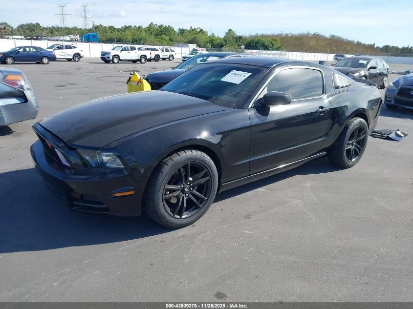 Ford Mustang 3.7L V-6 DOHC, VVT, 305HP Rear Wheel Drive - изображение 2