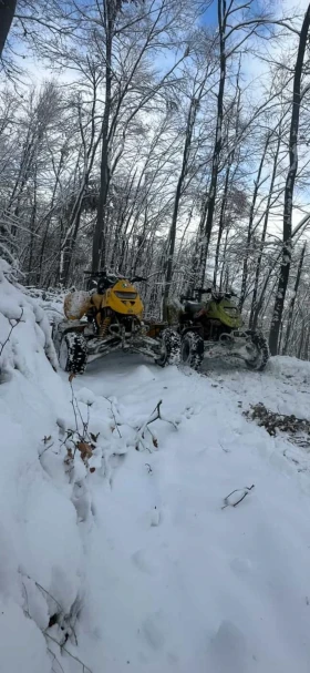 Can-Am DS DS650, снимка 3