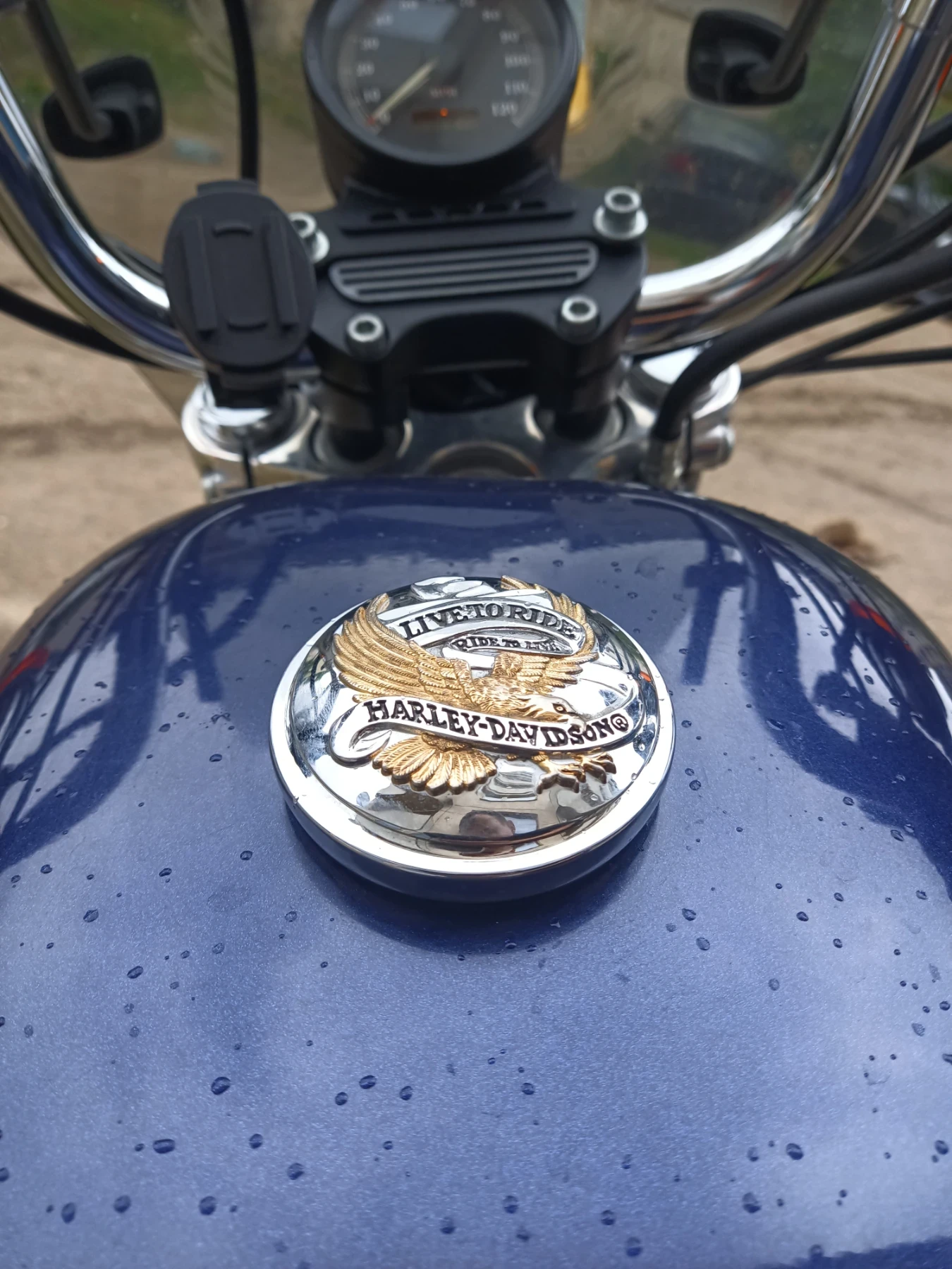 Harley-Davidson Sportster XLH883, снимка 12 - Мотоциклети и мототехника - 54652146