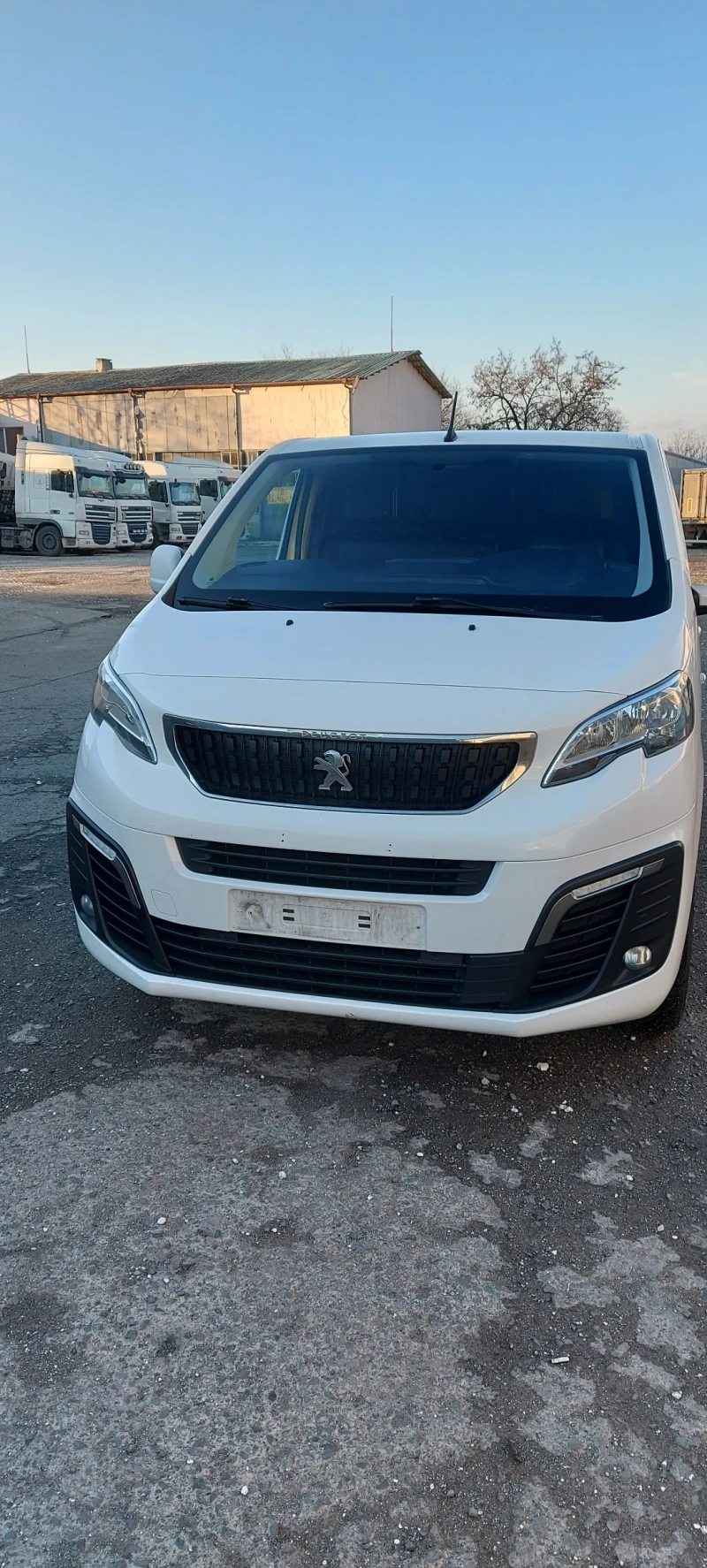 Peugeot Expert, снимка 1 - Автомобили и джипове - 48444360