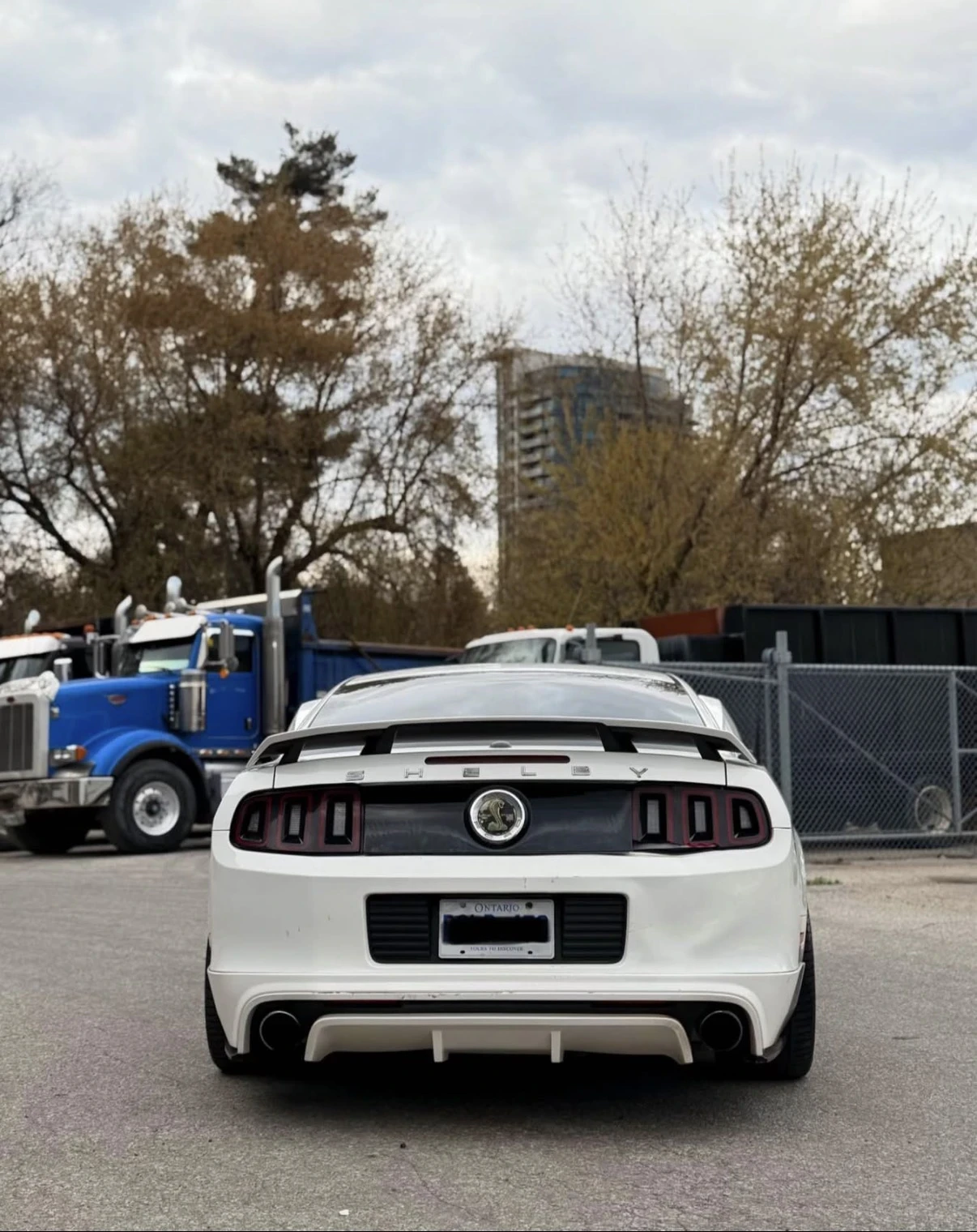 Ford Mustang 3.7 V6 * ��������� * ������� * SHELBY BODY KIT *  | Mobile.bg � ����������� 5