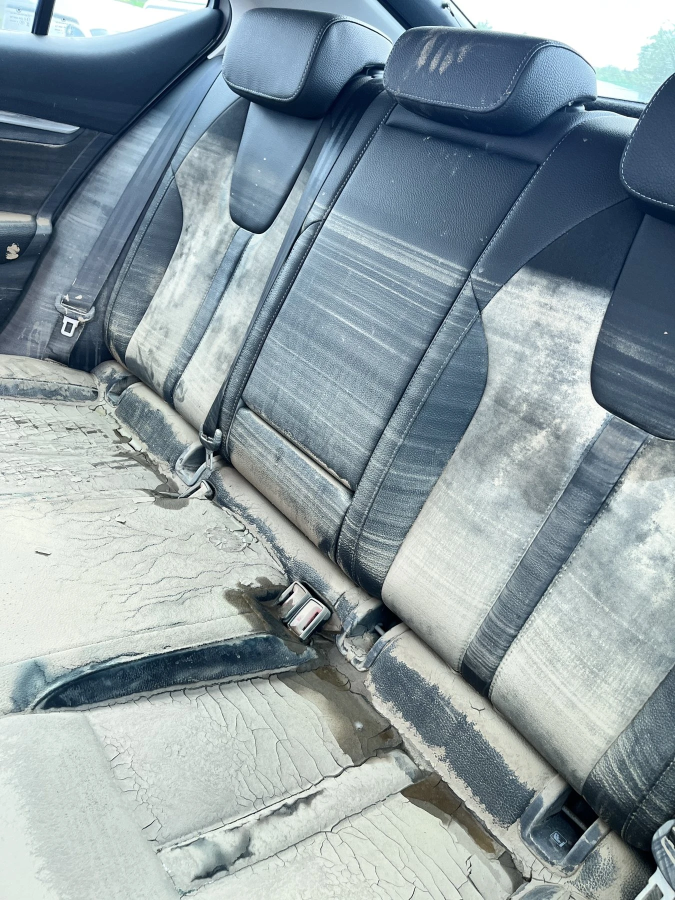 Skoda Octavia 1.5 TSI mHEV 110 kW Sport | Mobile.bg � ����������� 7