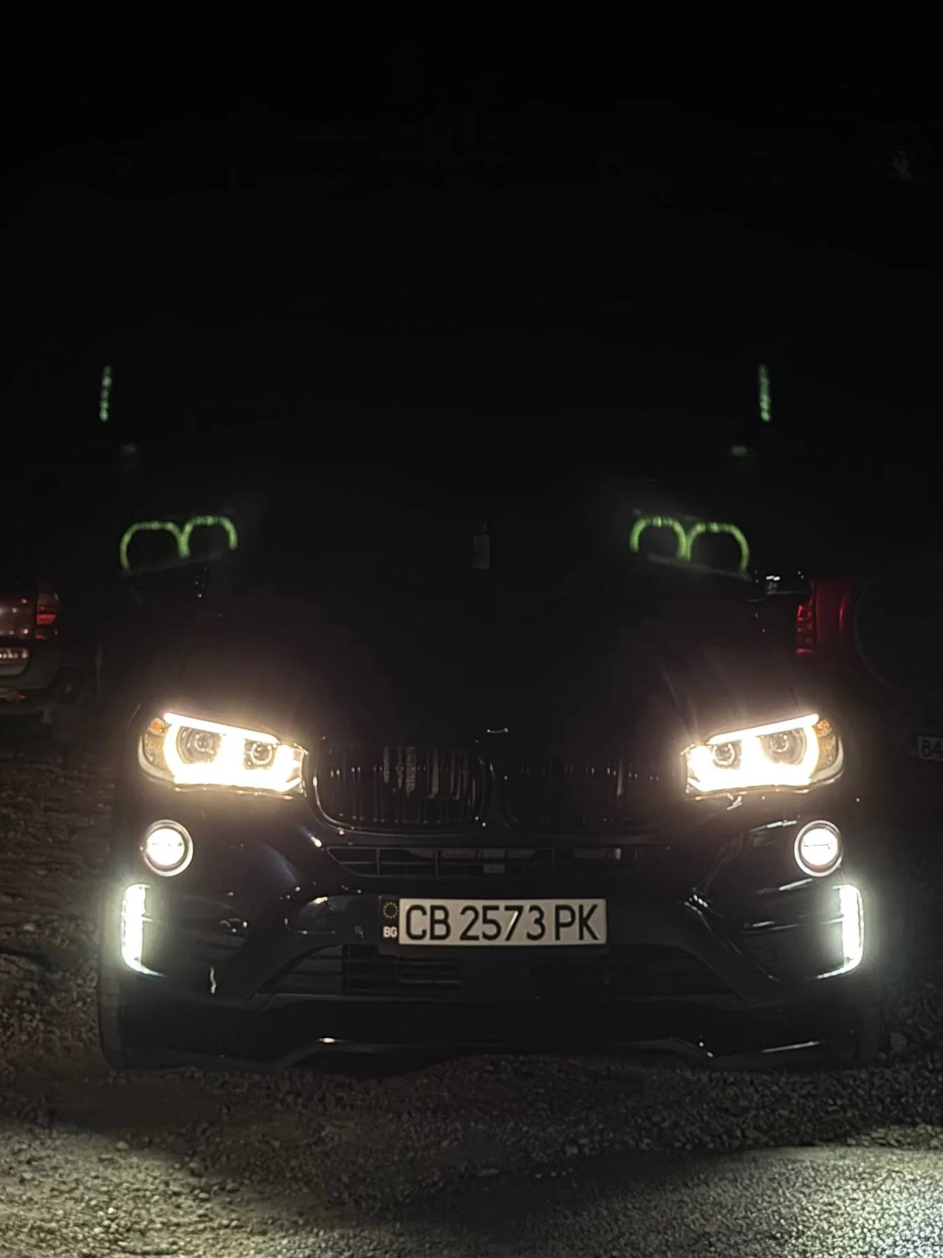 BMW X6, снимка 4 - Автомобили и джипове - 55667253