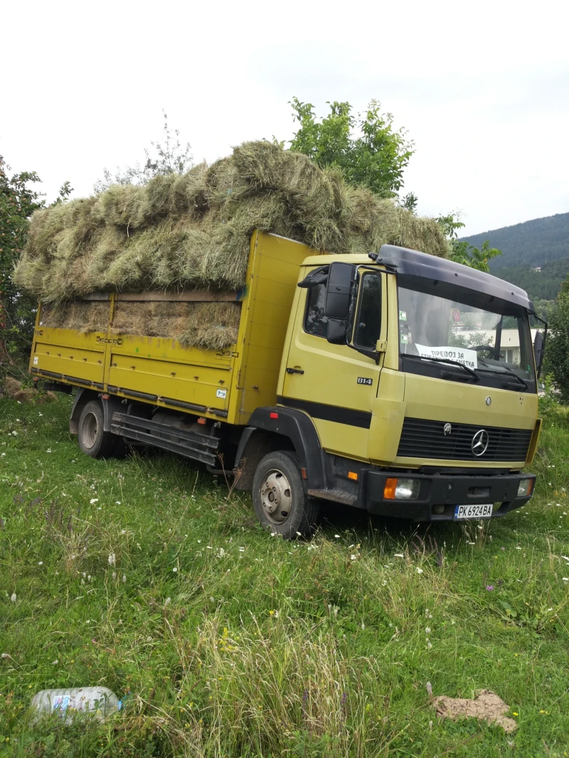 Mercedes-Benz 814, снимка 2 - Камиони - 48575188