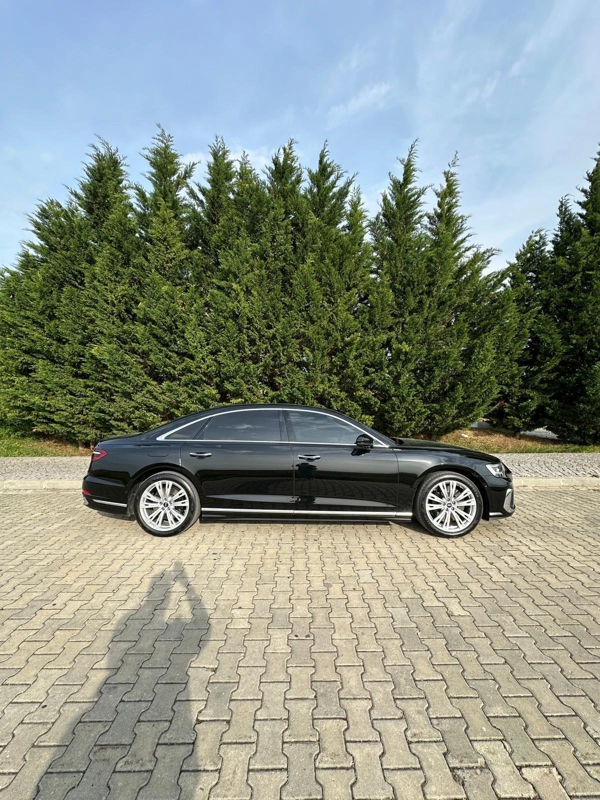 Audi A8 60 TFSI-E - изображение 2