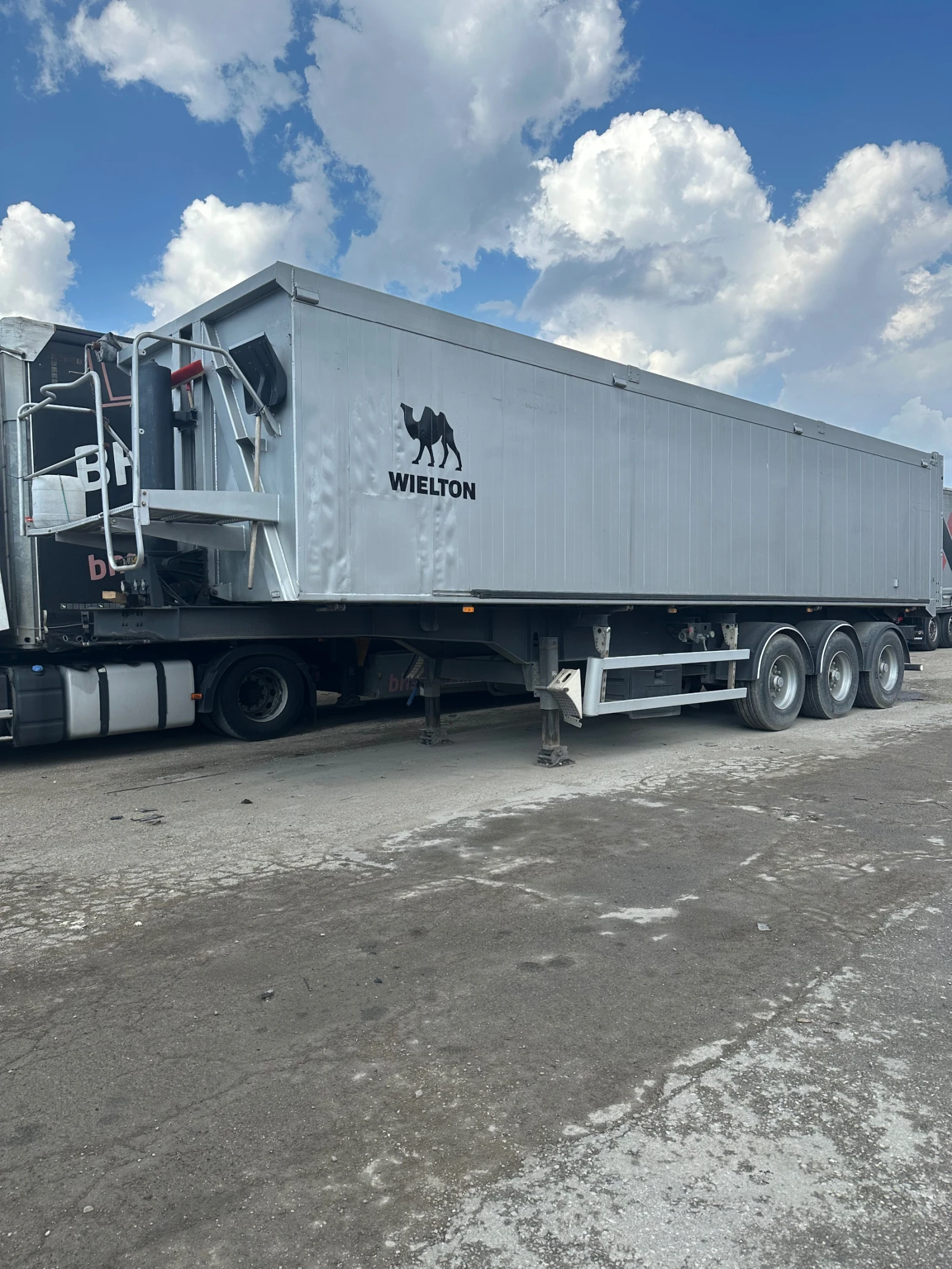  Wielton | Mobile.bg   1