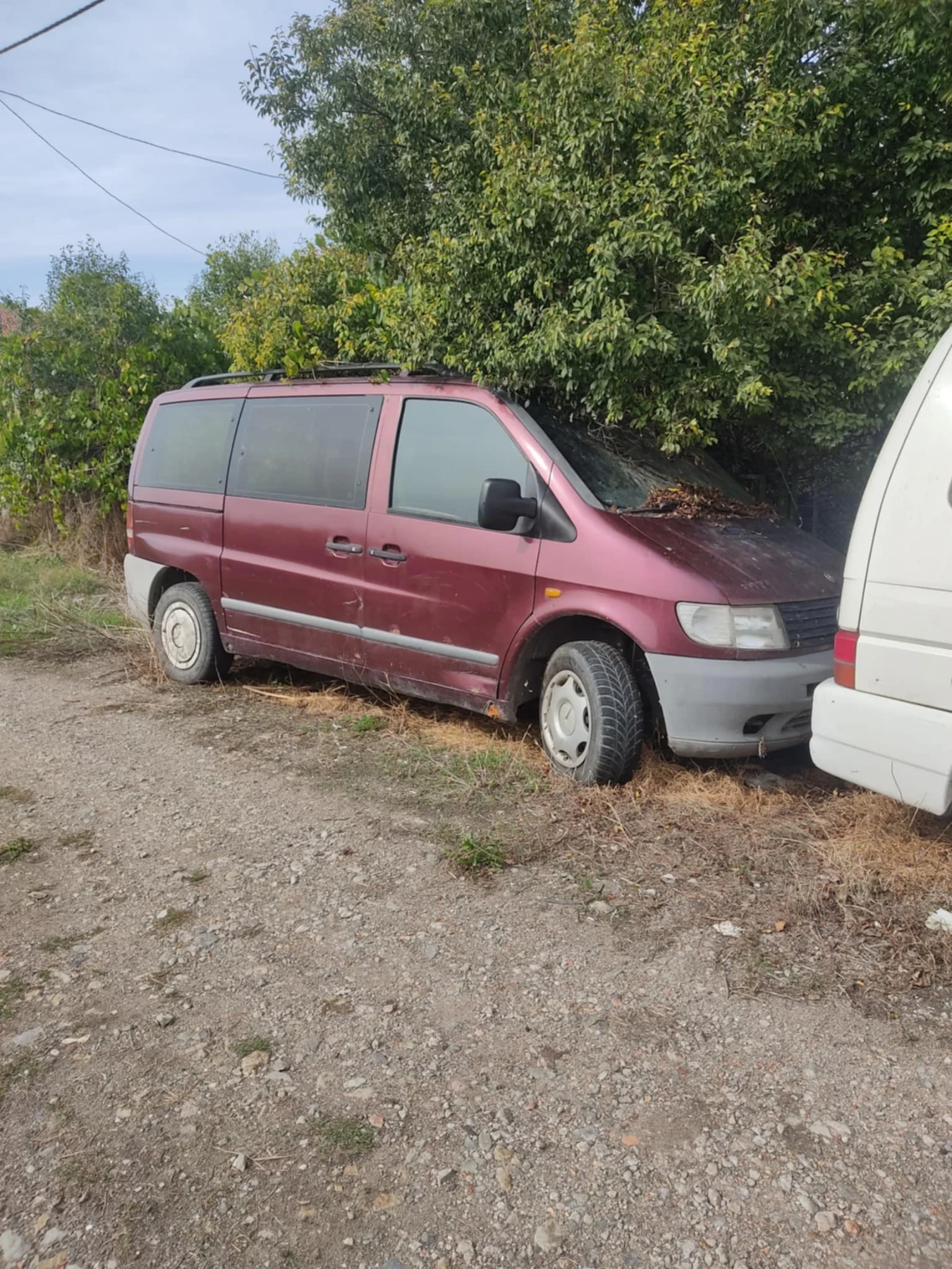 VW T4, снимка 3 - Бусове и автобуси - 54444277