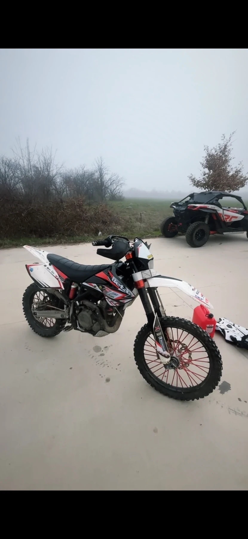 Beta Rr 525 - изображение 2