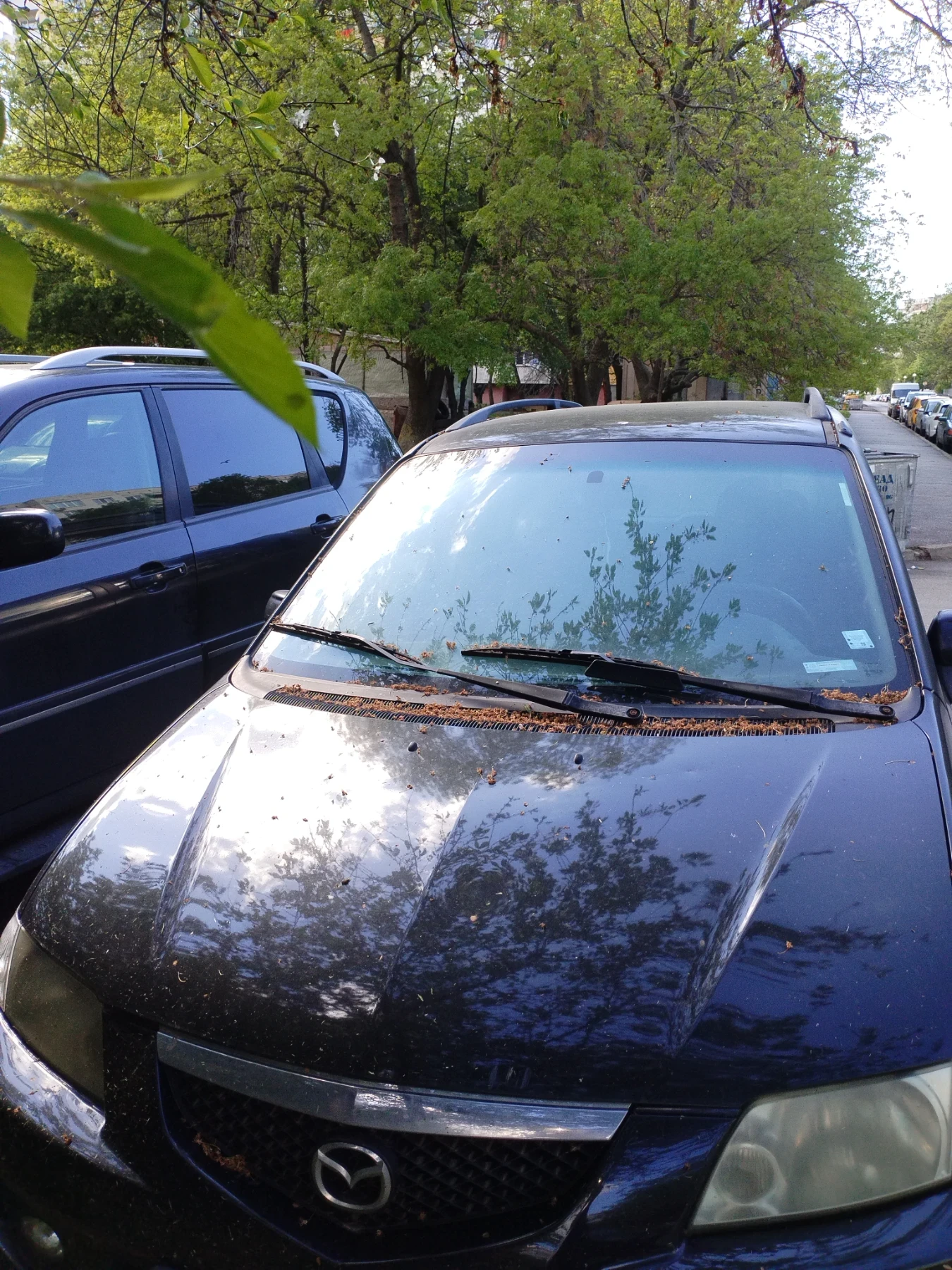 Mazda Premacy 2.0 бензин - изображение 2