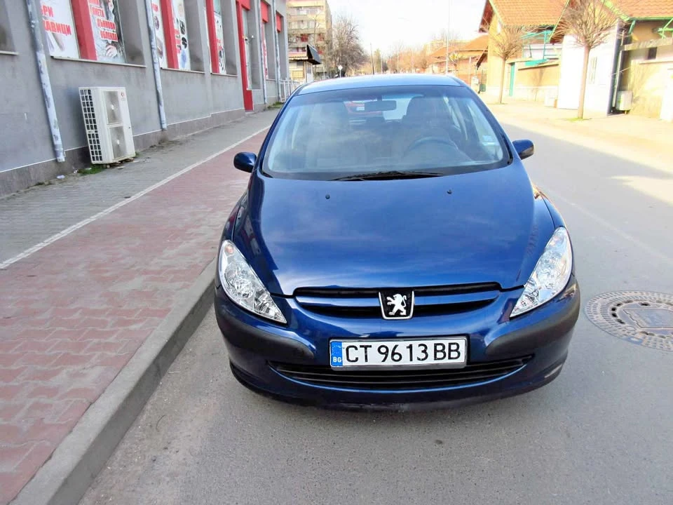 Peugeot 307 2.0 HDI, снимка 2 - Автомобили и джипове - 53710466