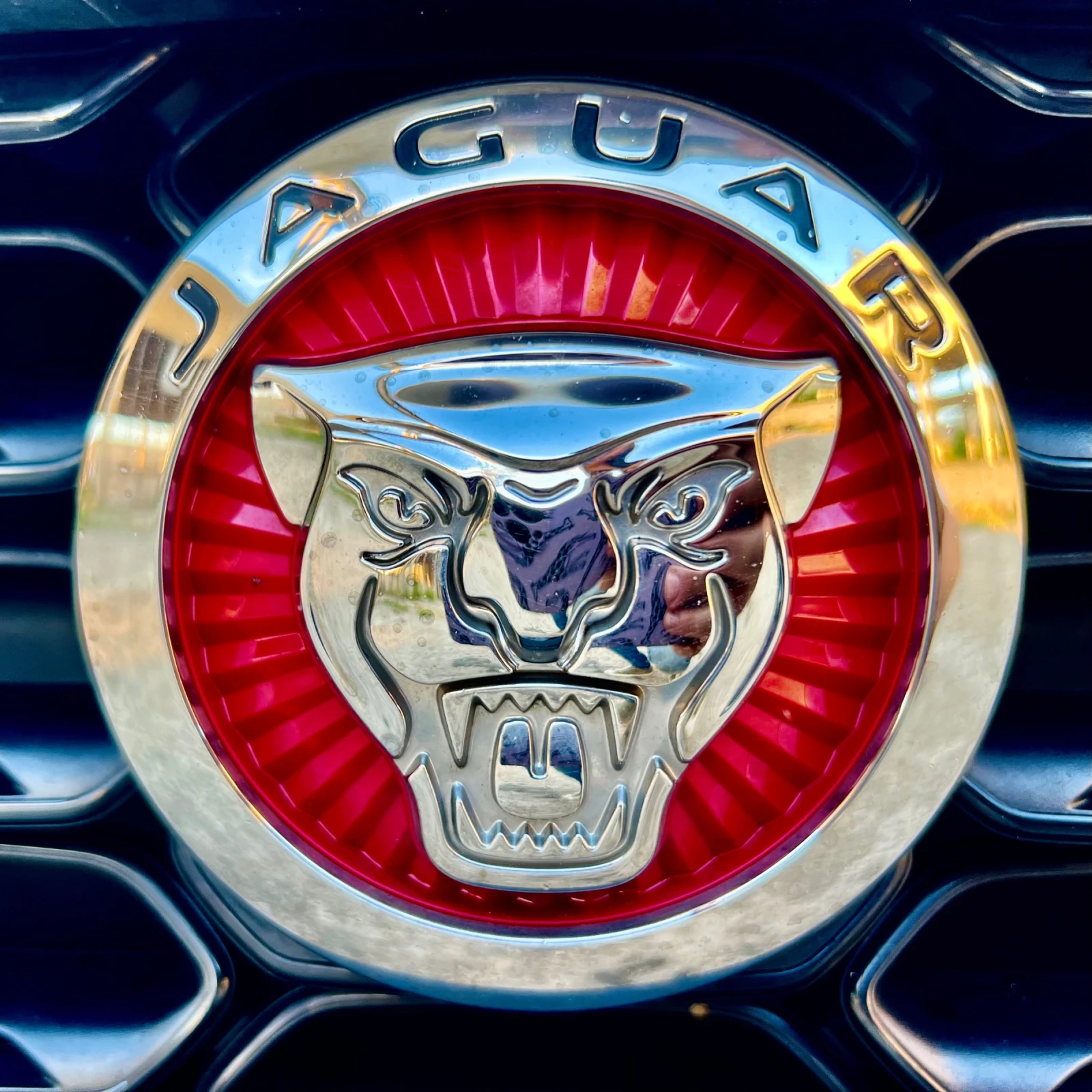 Jaguar F-Type SVO, снимка 14 - Автомобили и джипове - 55189457
