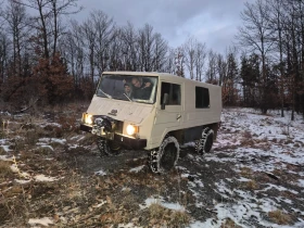 Друг вид Внос Pincgauer , снимка 1