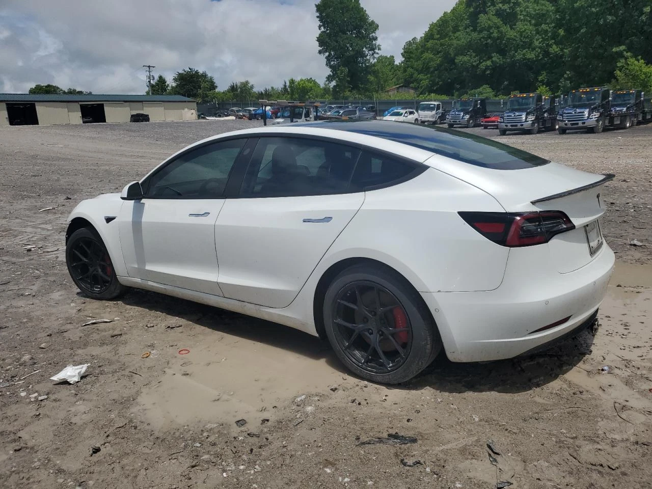 Tesla Model 3 Performance 4х4, USA версия - голямата батерия - изображение 2