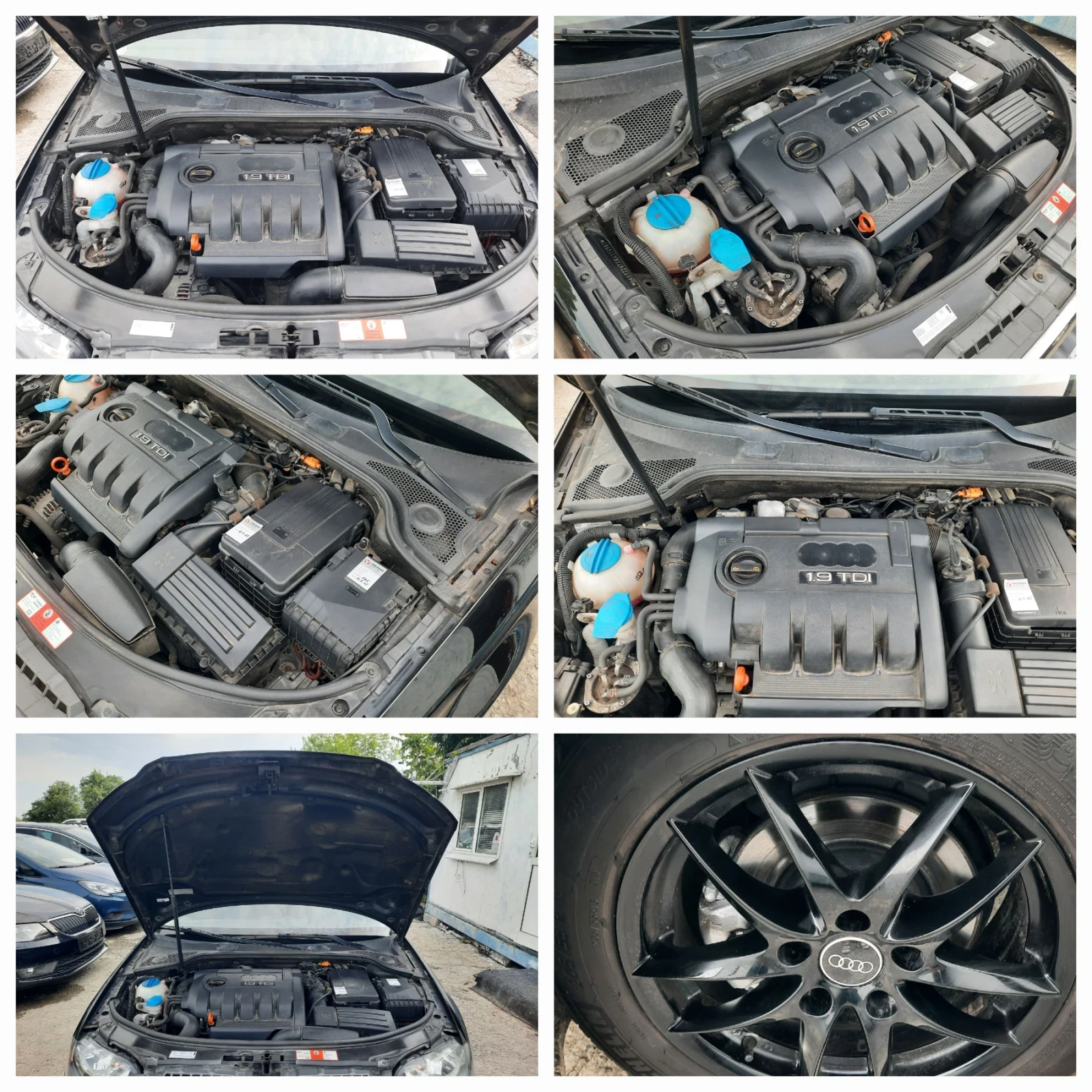 Audi A3 2009та 1.9TDI  НОВА, снимка 15 - Автомобили и джипове - 54768262