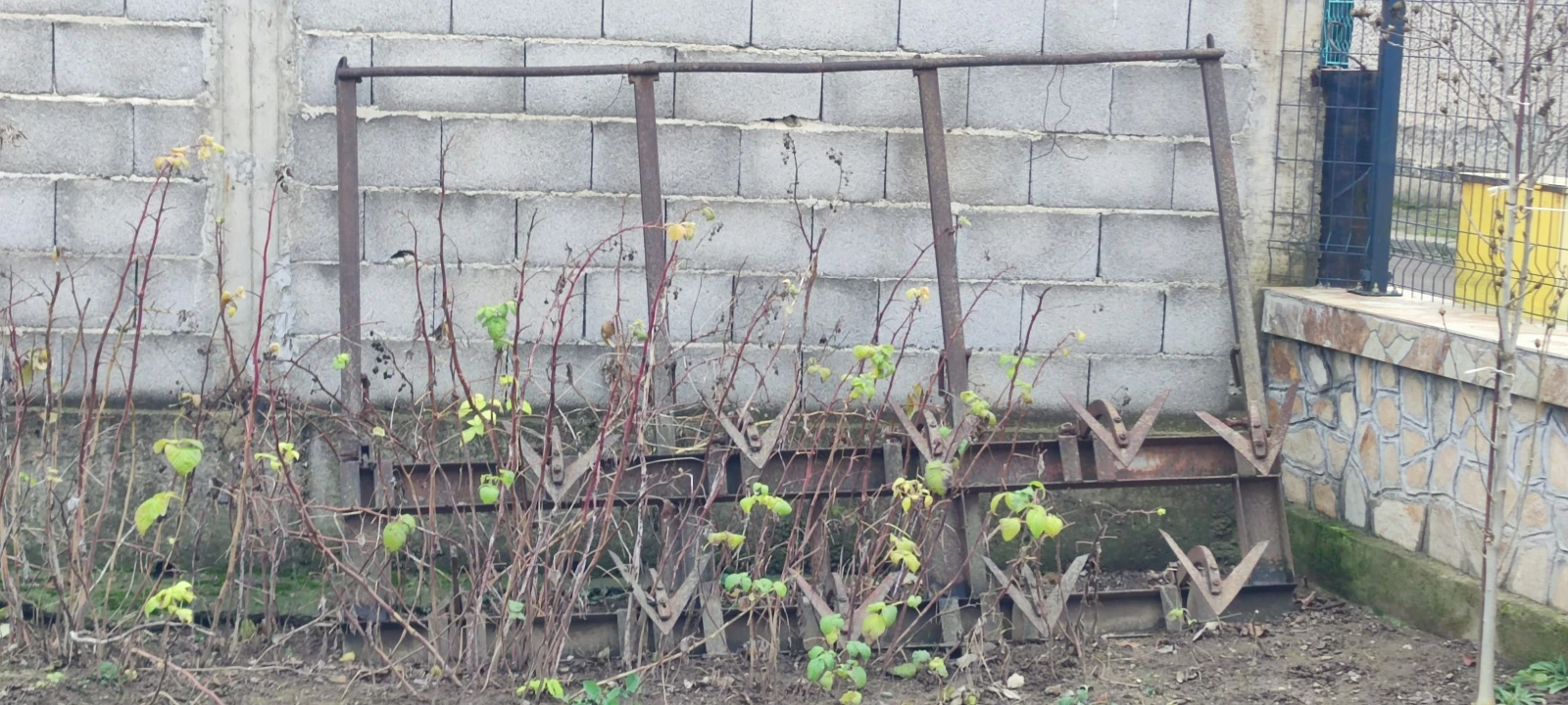 ������� ��� 6��� | Mobile.bg � ����������� 8