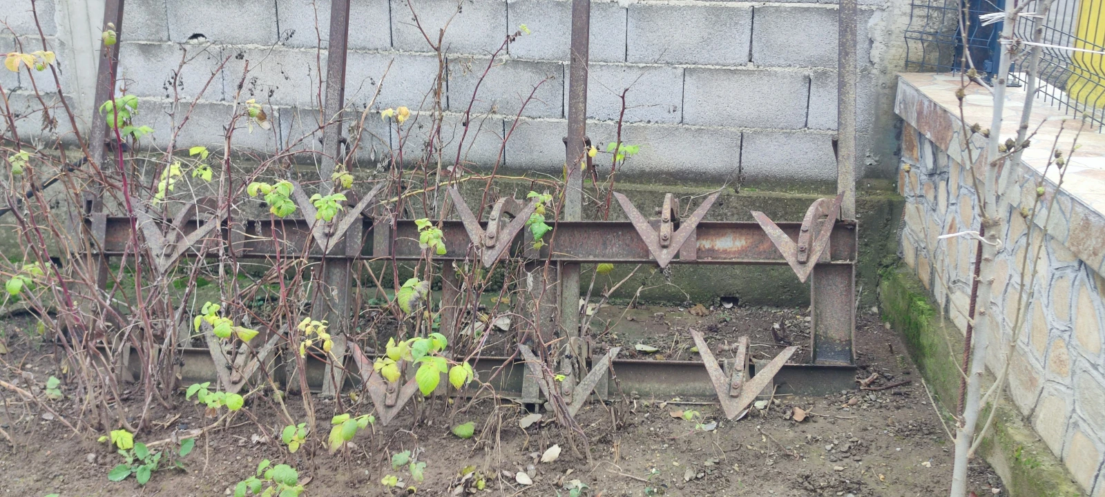 ������� ��� 6��� | Mobile.bg � ����������� 9