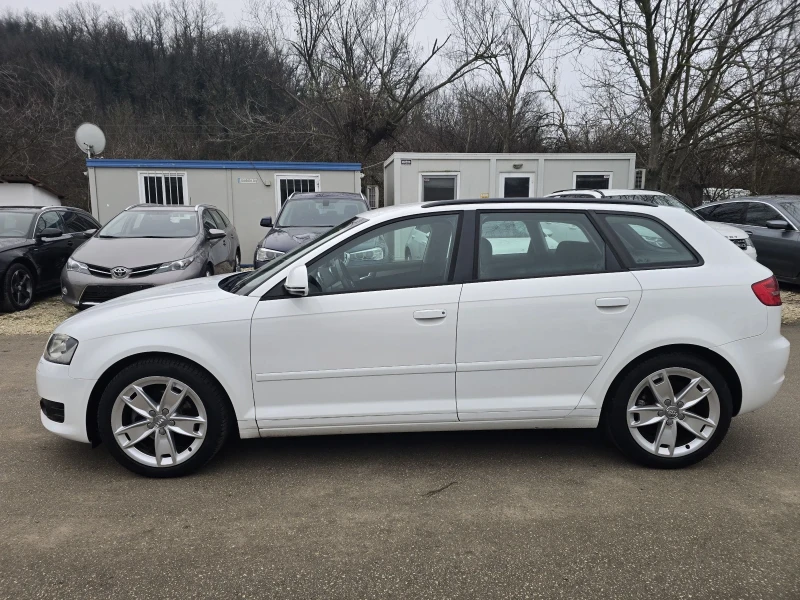 Audi A3 1.6TDI 105к.с Топ състояние , снимка 7 - Автомобили и джипове - 52827602