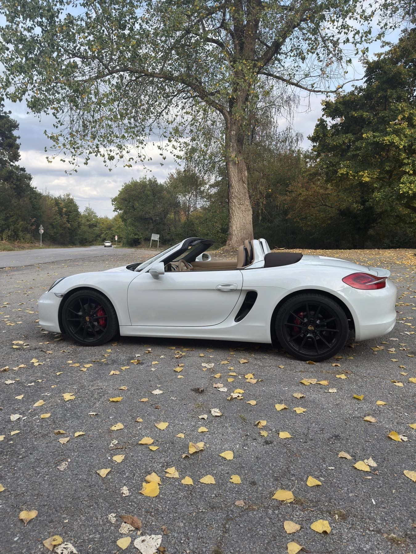 Porsche Boxster 981 3.4S - изображение 4
