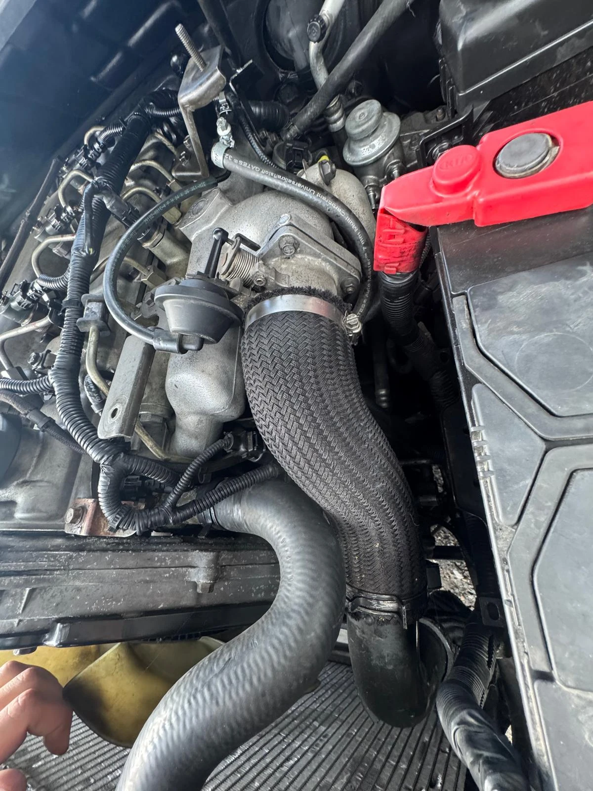 Kia Sorento | Mobile.bg   6