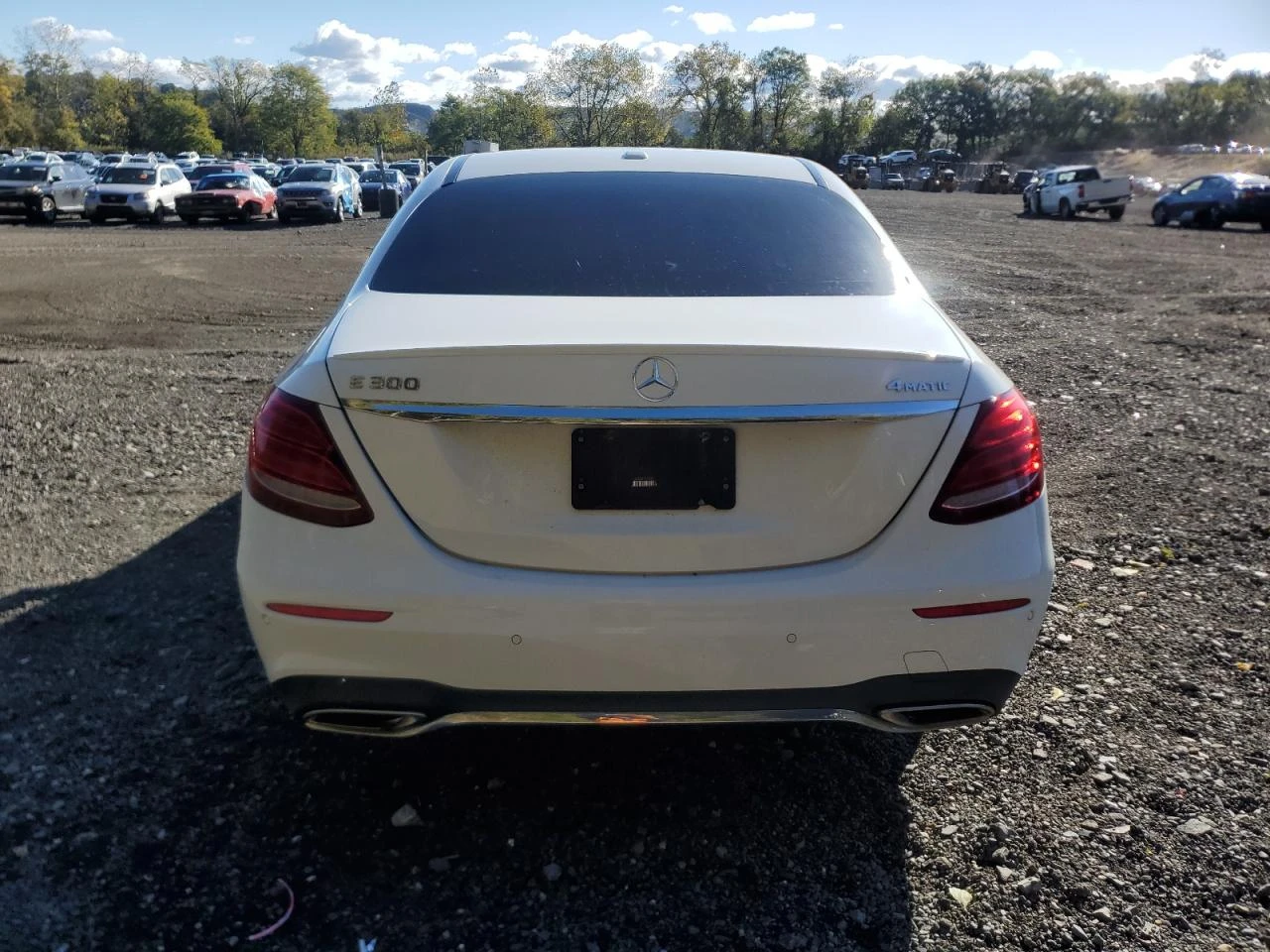 Mercedes-Benz E 300 * 4MATIC* * *  | Mobile.bg   7