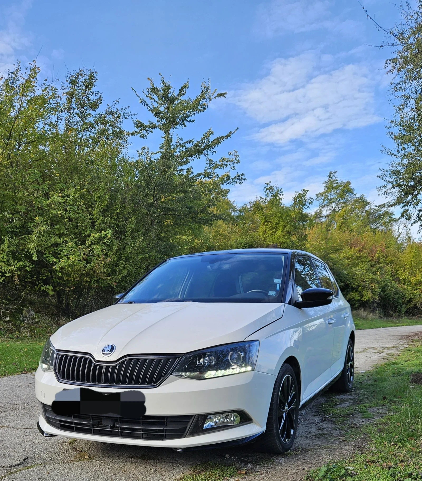 Skoda Fabia MONTE-CARLO | Mobile.bg � ����������� 1