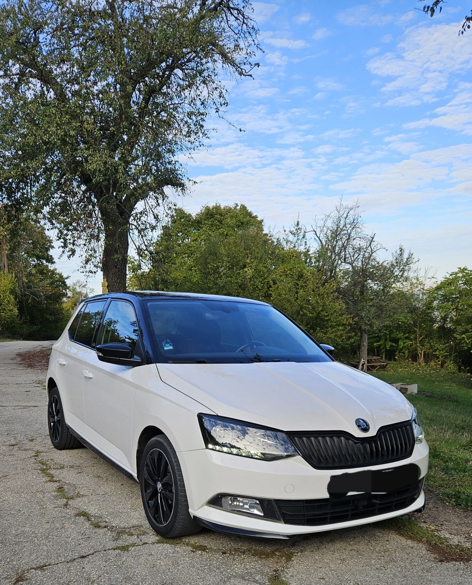 Skoda Fabia MONTE-CARLO - изображение 2