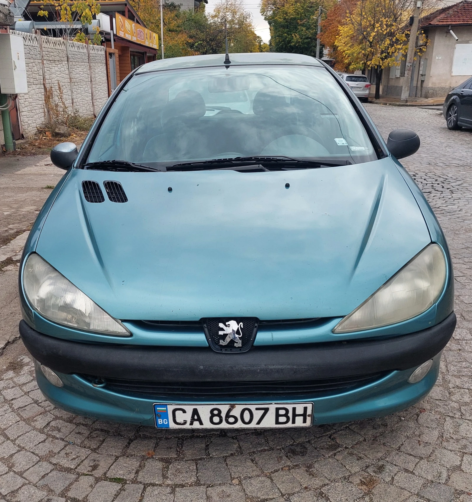 Peugeot 206