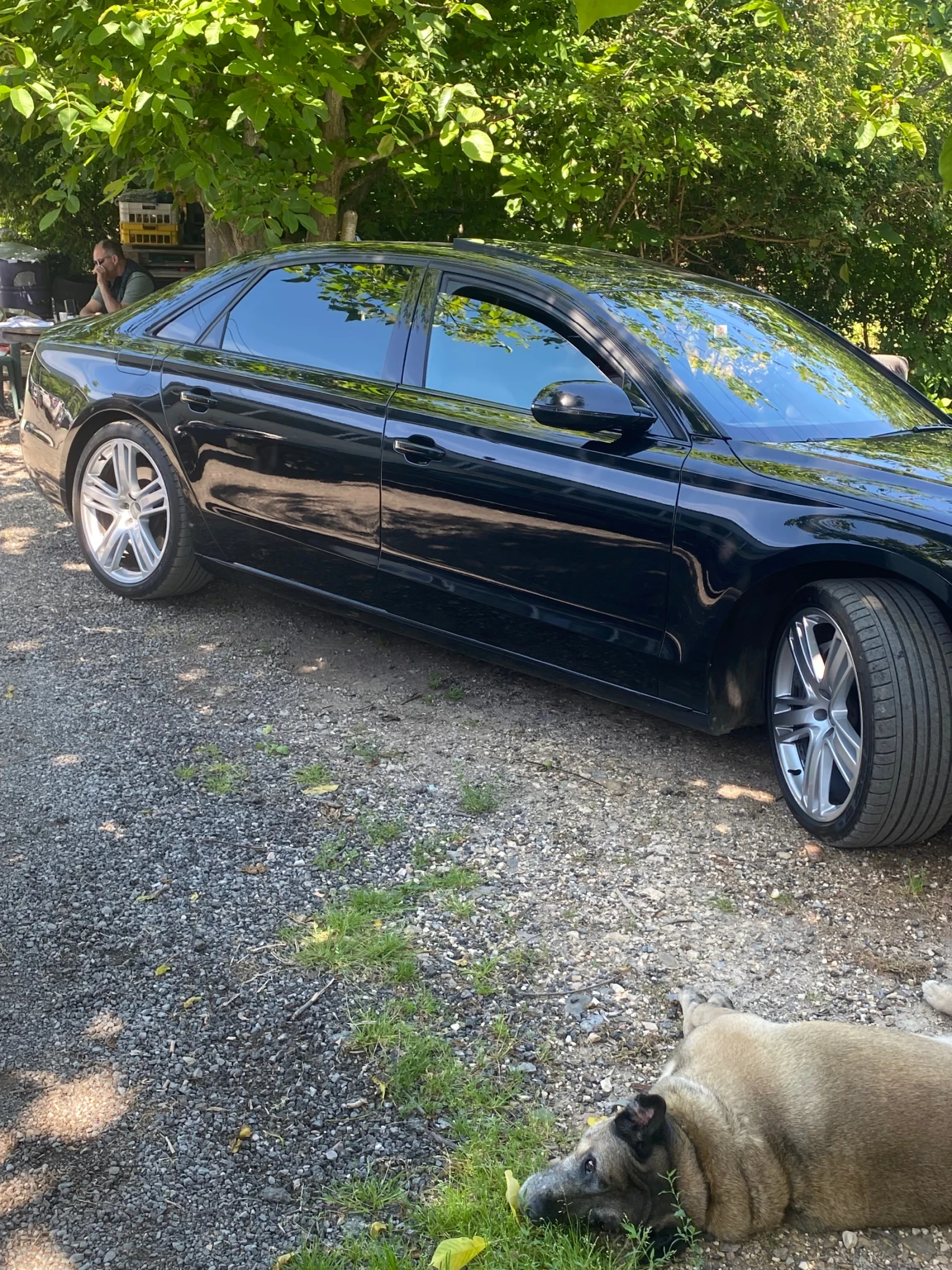 Audi A8 | Mobile.bg � ����������� 14